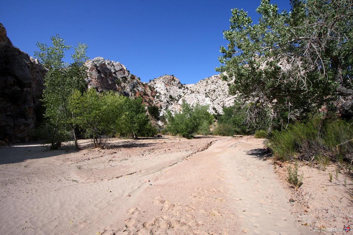 Hackberry Canyon