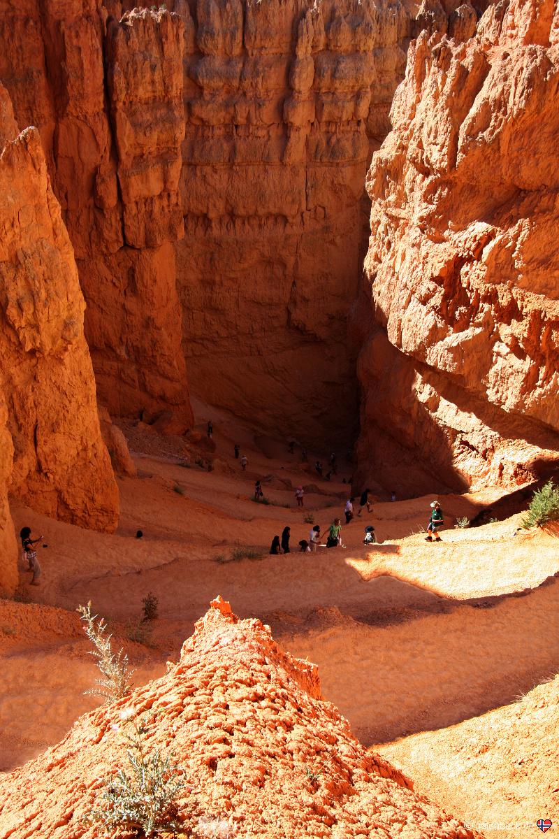 Navajo Loop