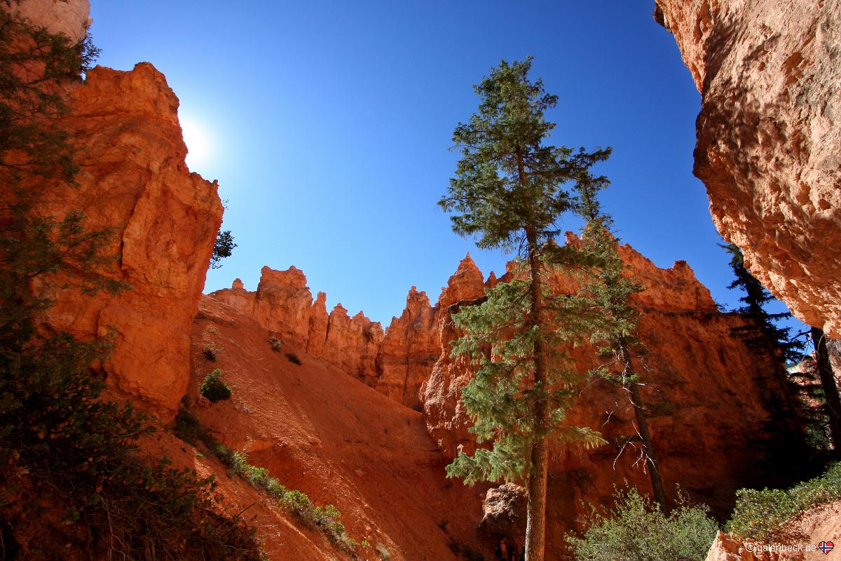 Bryce Canyon