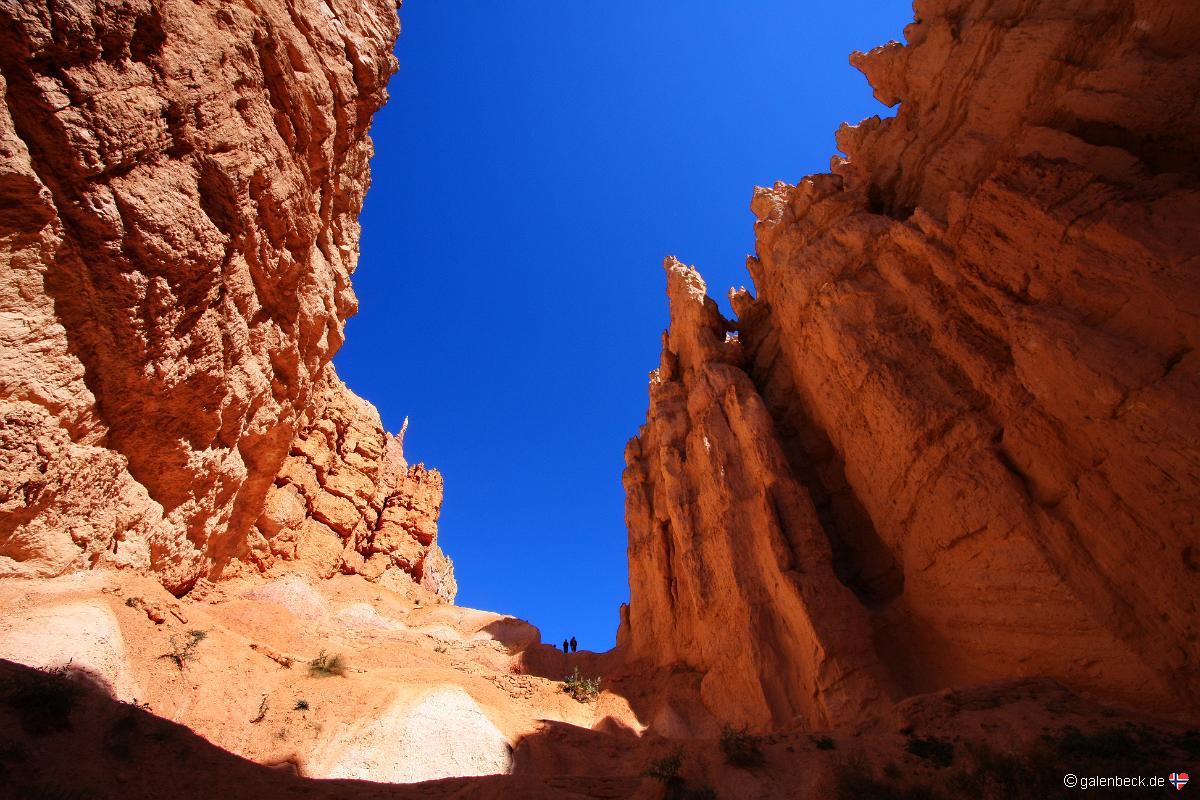 Navajo Loop