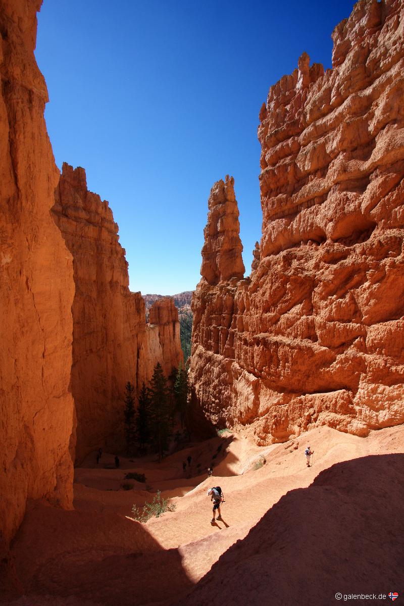 Navajo Loop