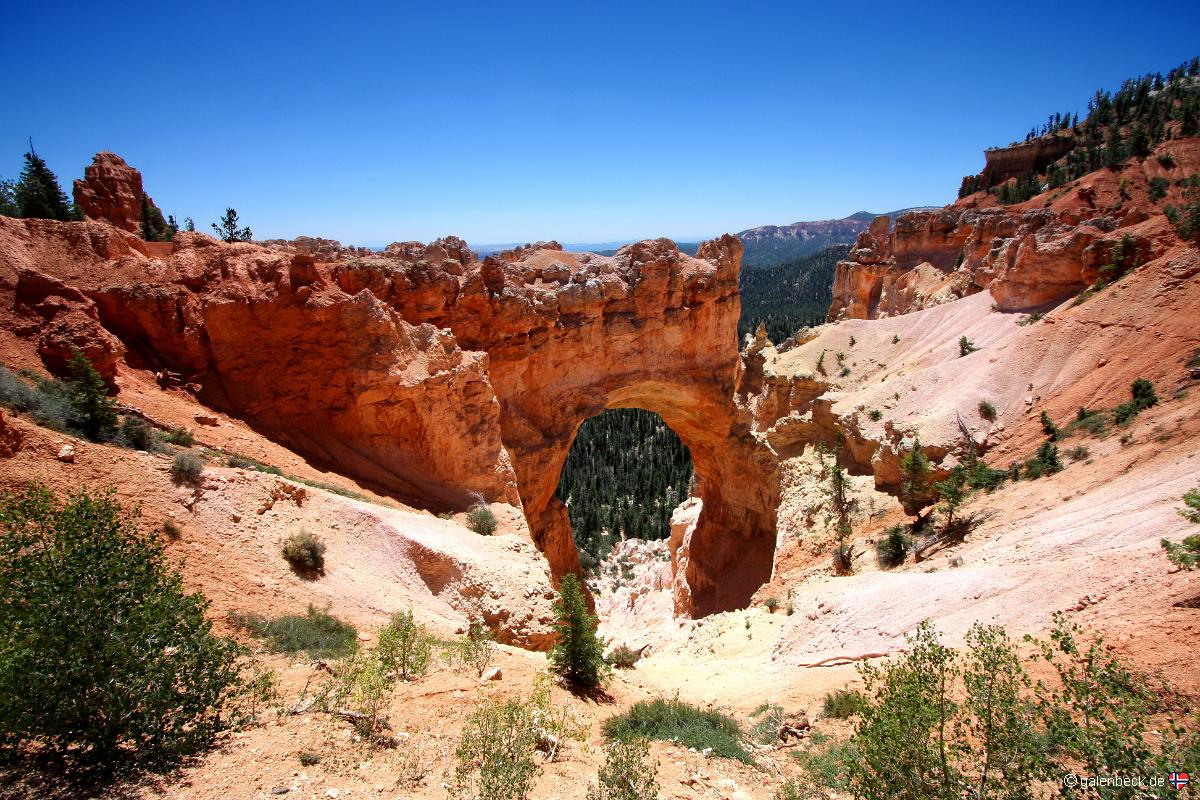 Natural Bridge