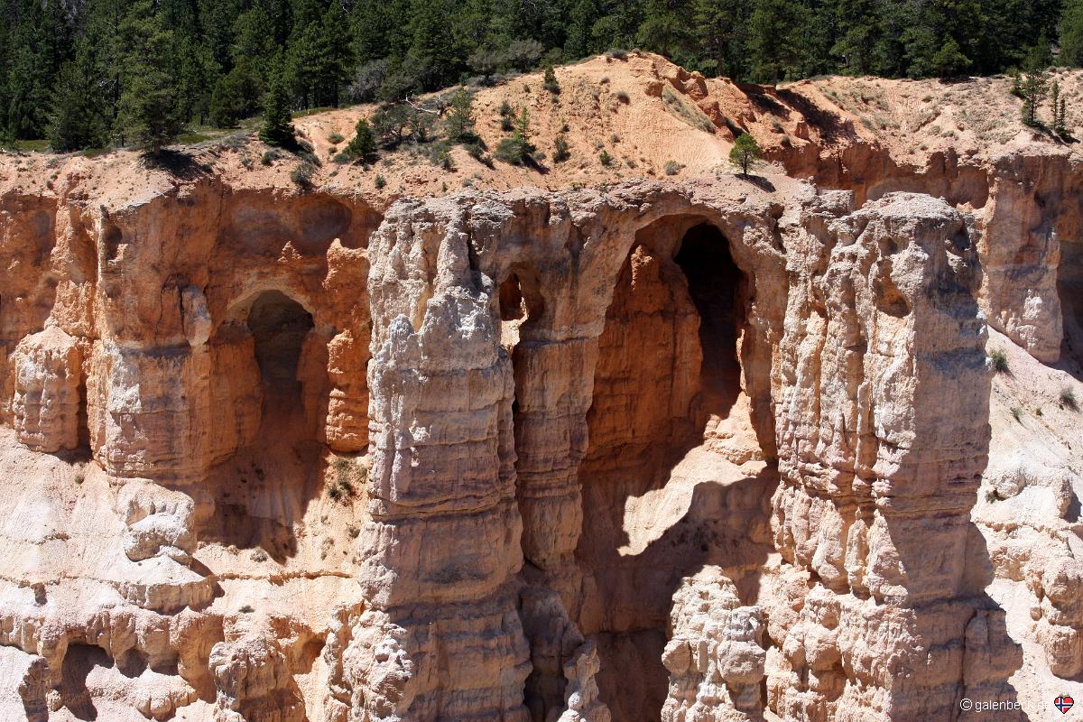 Bryce Point
