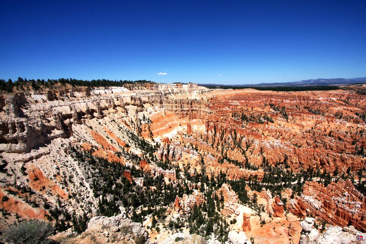 Bryce Point