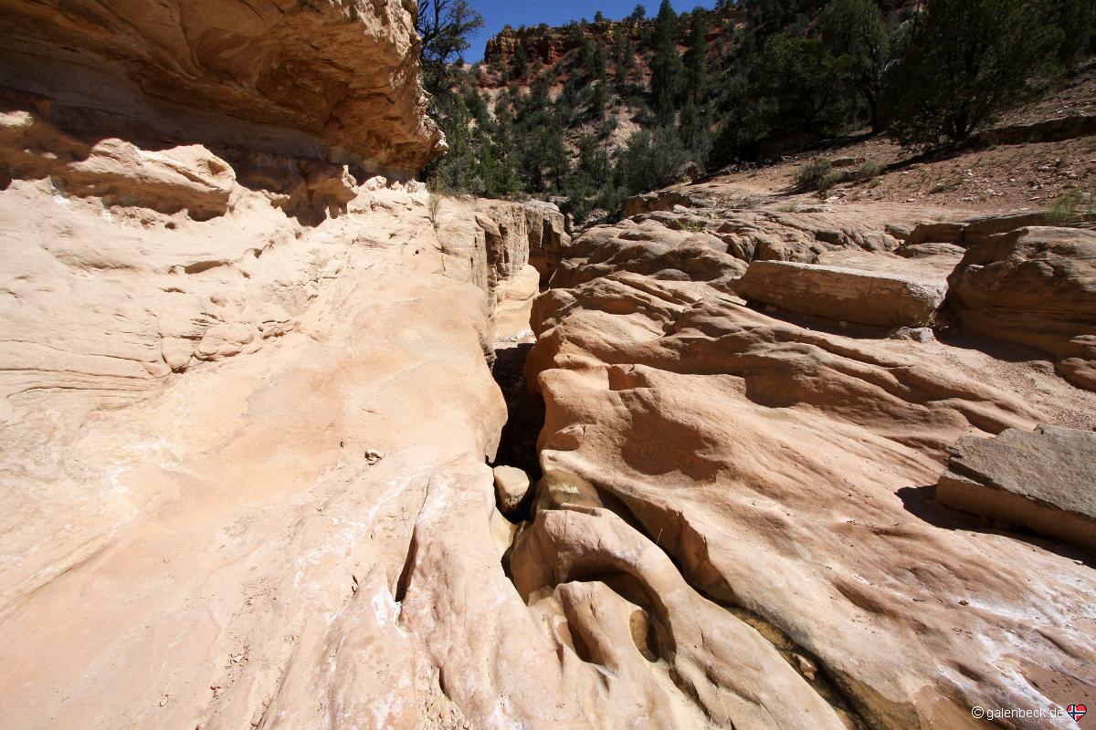 Willis Creek