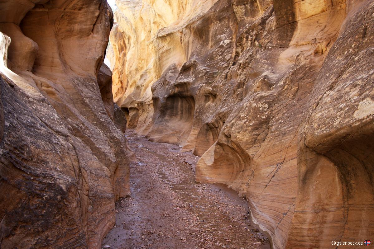 Willis Creek