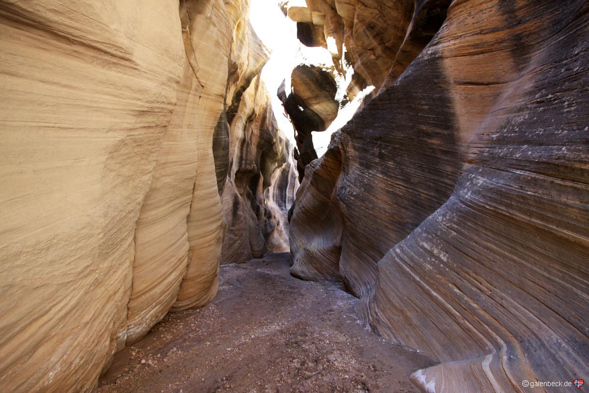 Willis Creek