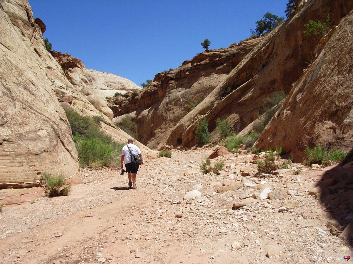 Capitol Gorge