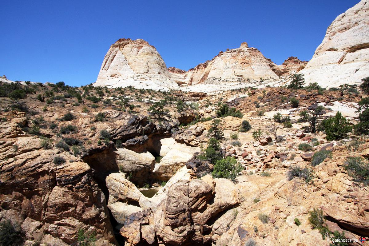 Capitol Gorge