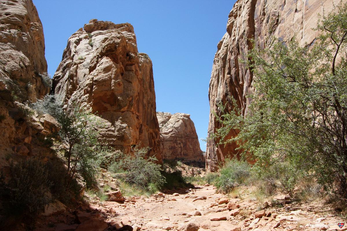 Capitol Reef