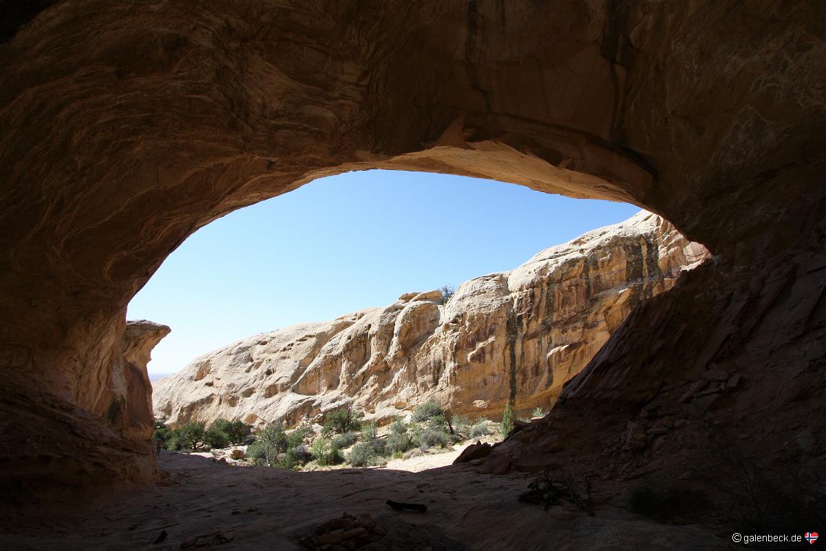 Wild Horse Window
