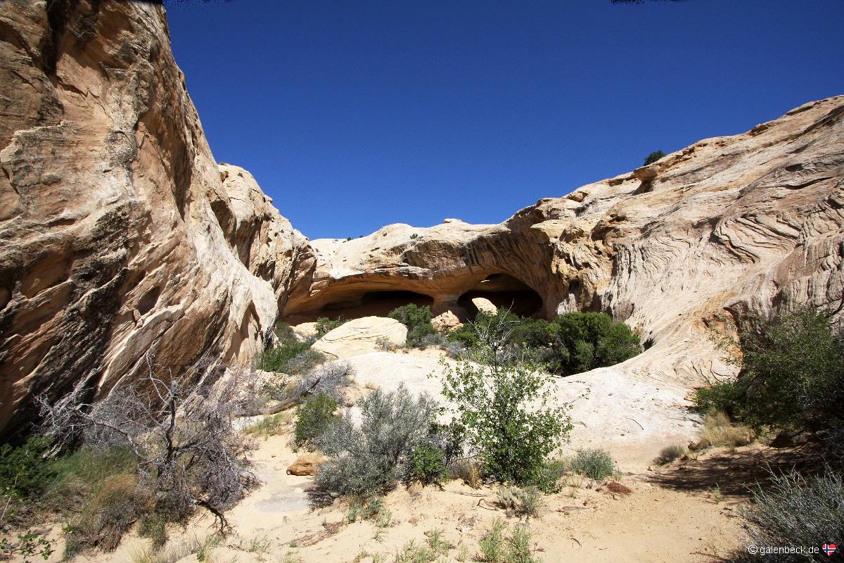 Wild Horse Window
