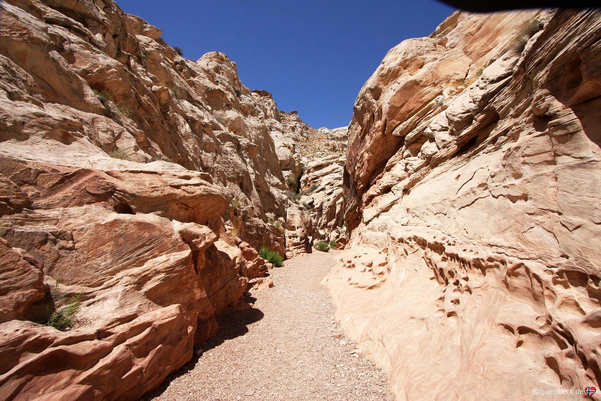 Little Wild Horse Canyon