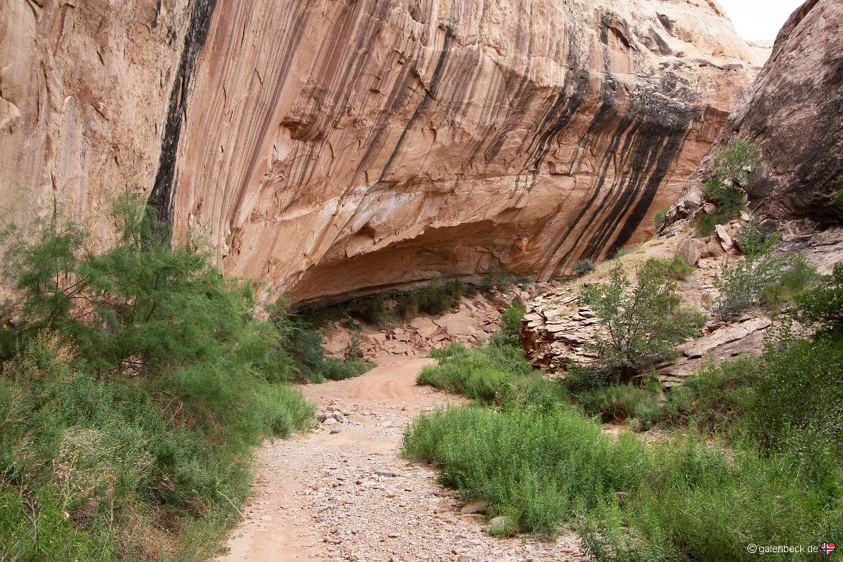Black Dragon Canyon