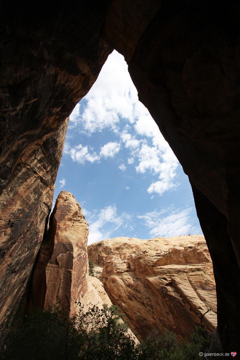 Arch 10-UT-305