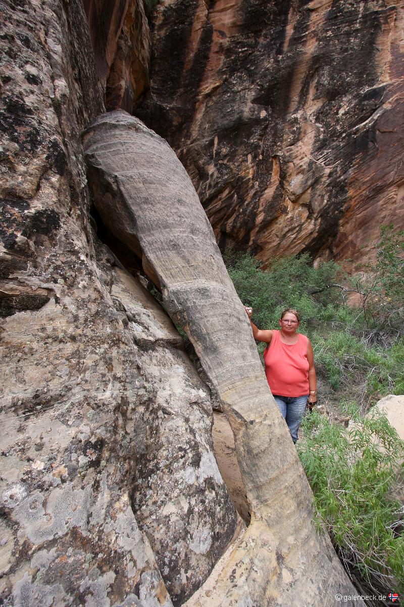 Arch 10-UT-305