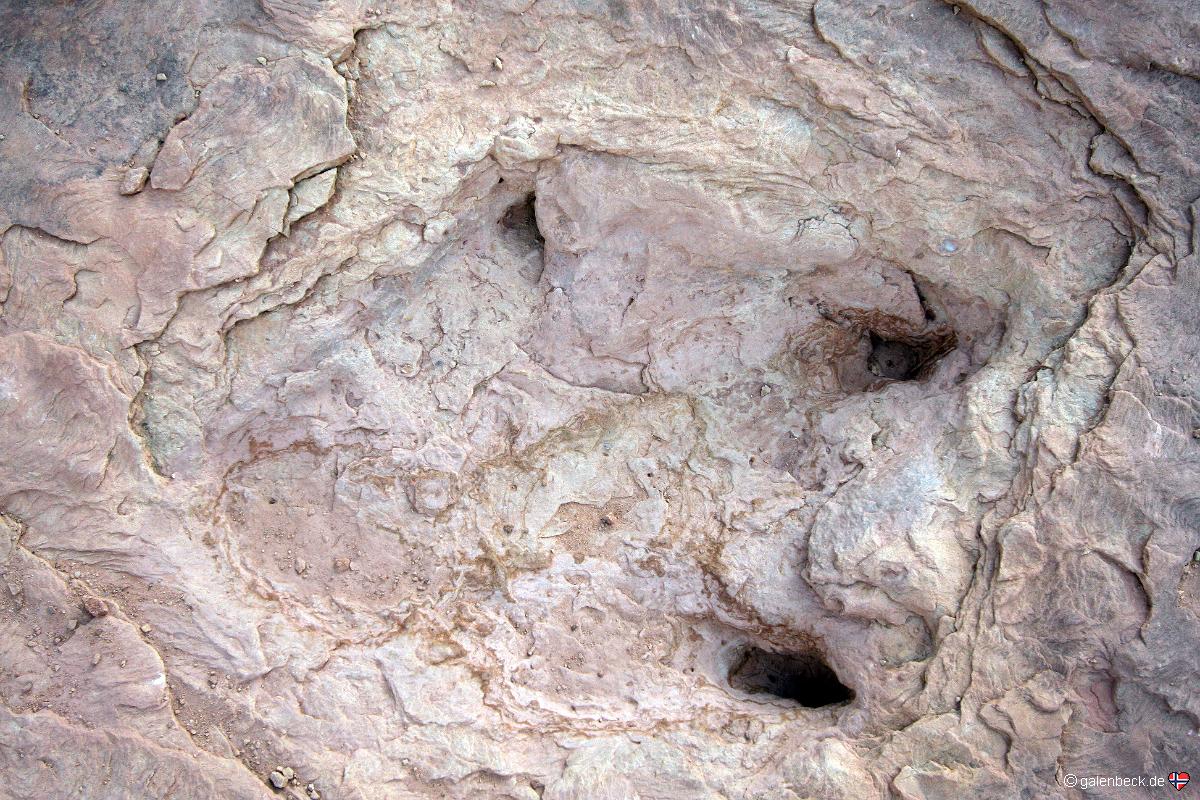 Dinosaur Trackway