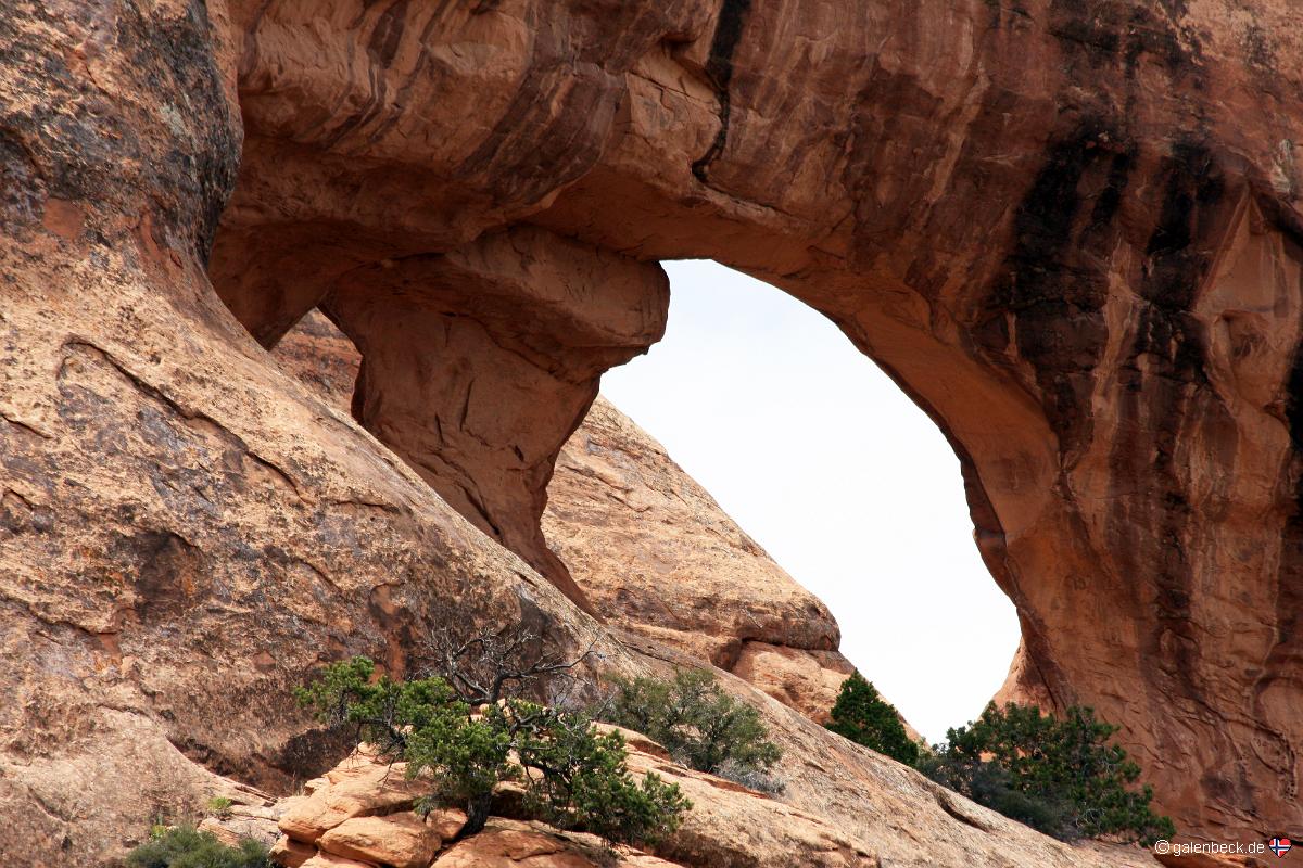 Partition Arch