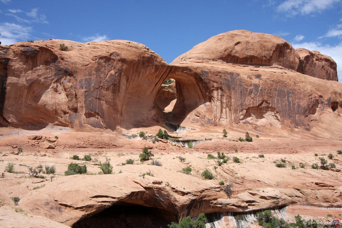 Bowtie Arch
