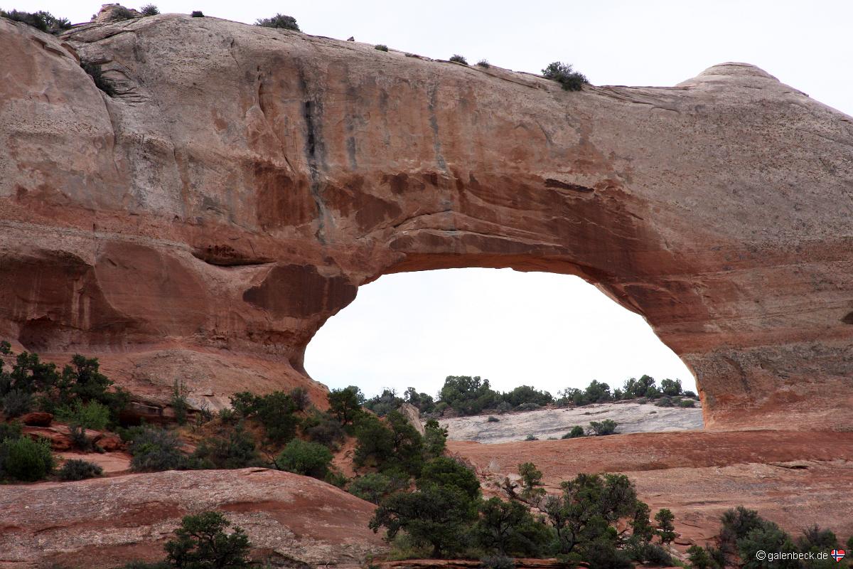 Wilson Arch