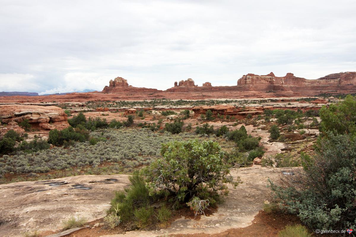 Canyonlands National Park Needles District