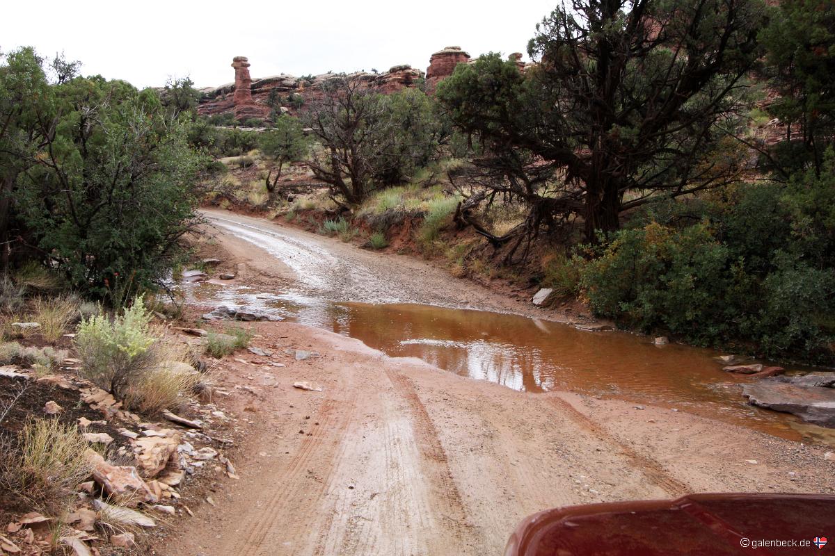 Needles District
