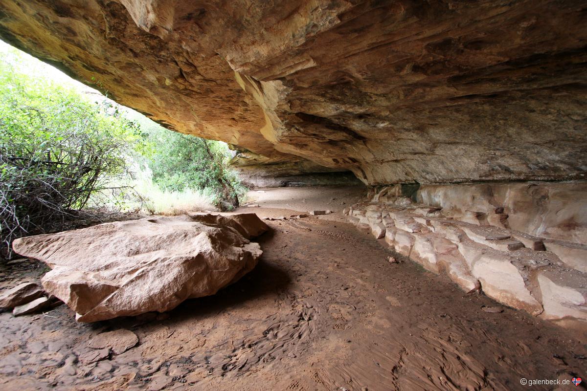 Cave Spring Trail