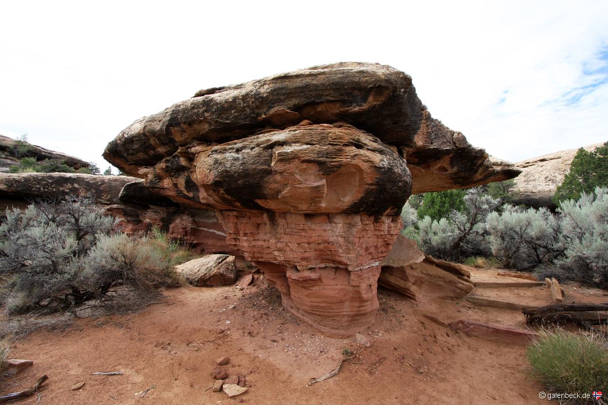 Cave Spring Trail