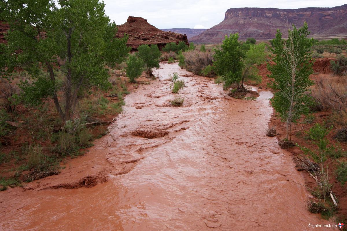 Flashflood