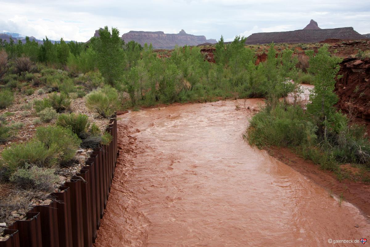 Flashflood