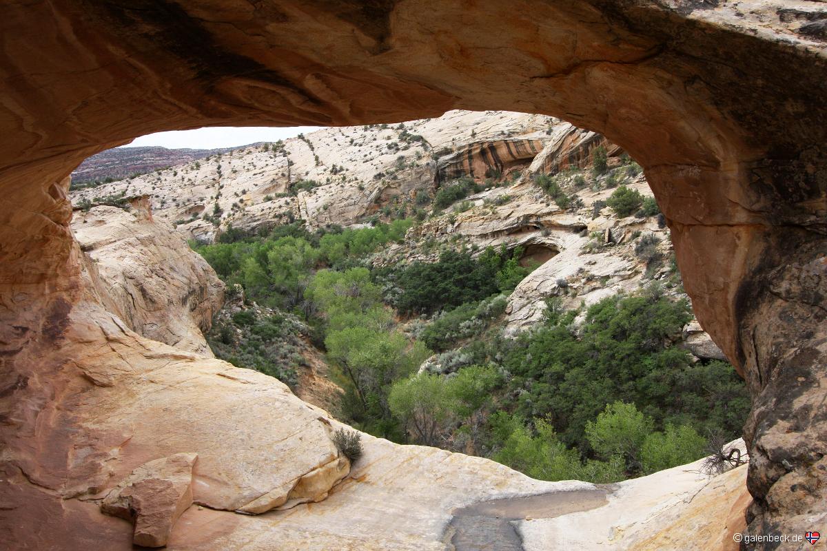 Butler Wash Ruins