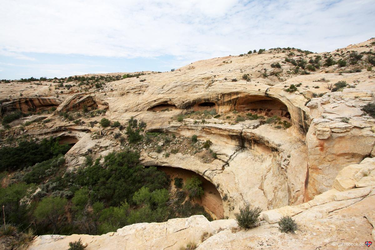 Butler Wash Ruins