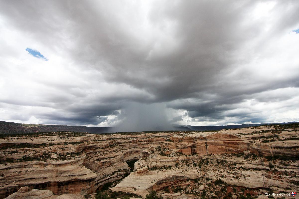 Natural Bridges National Monument