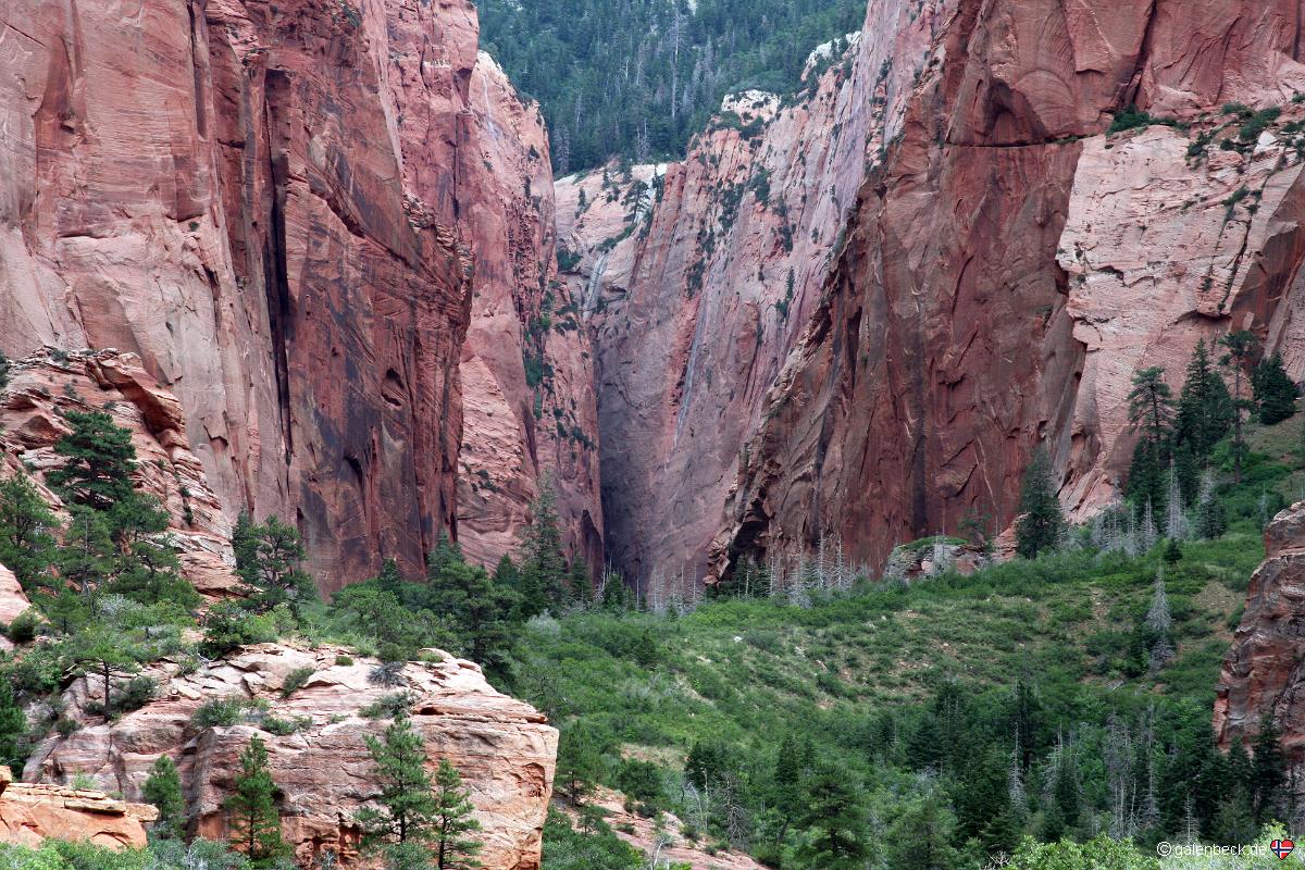 Zion National Park Kolob Canyon