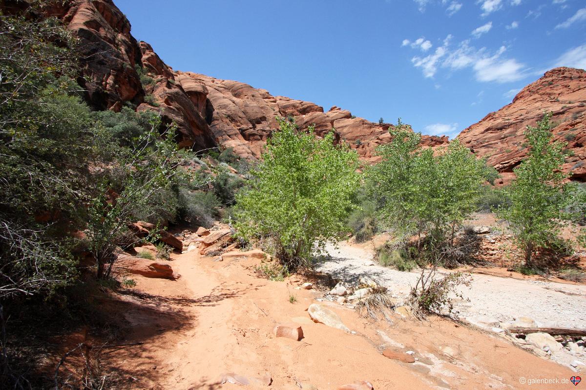 Water Canyon