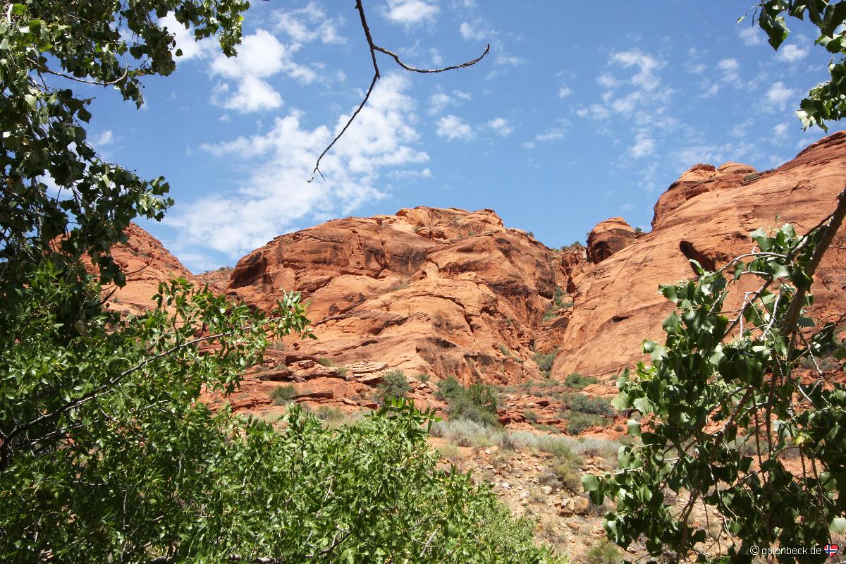 Water Canyon
