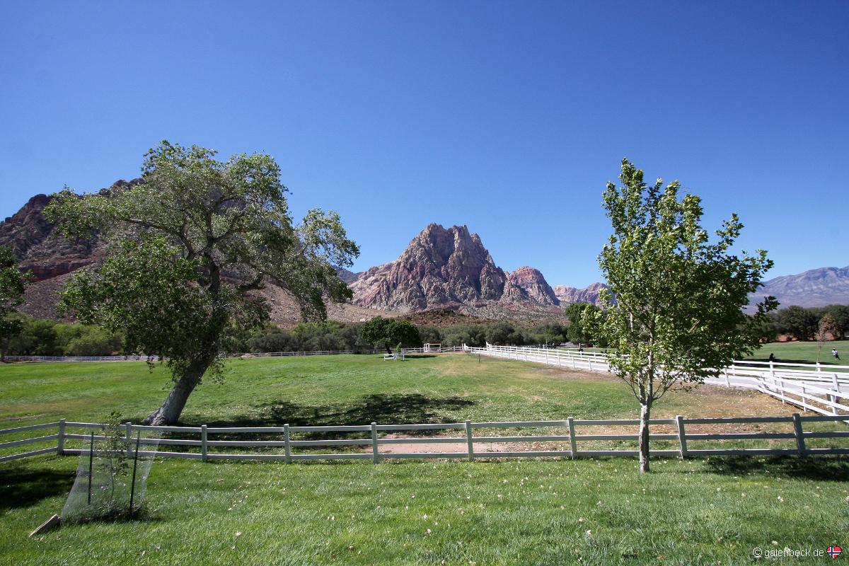 Spring Mountain Ranch