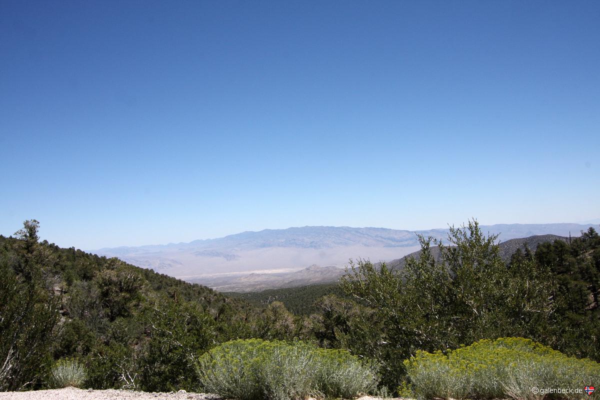 Spring Mountains National Recreation Area