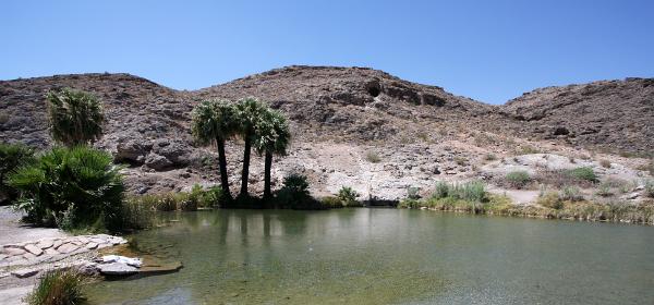 Rogers Spring