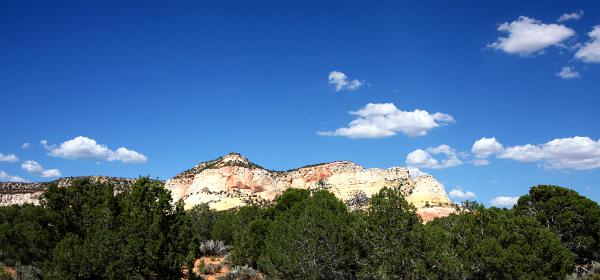 The Arch