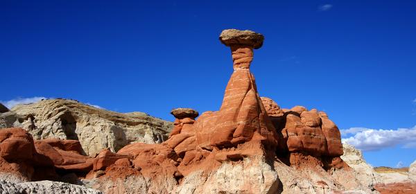 The Rimrocks
