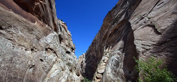 Hackberry Canyon