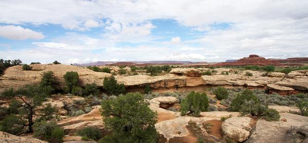 Canyonlands National Park Needles District