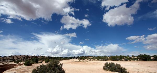 Muley Point