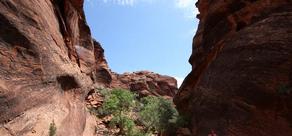 Red Cliffs Recreation Area
