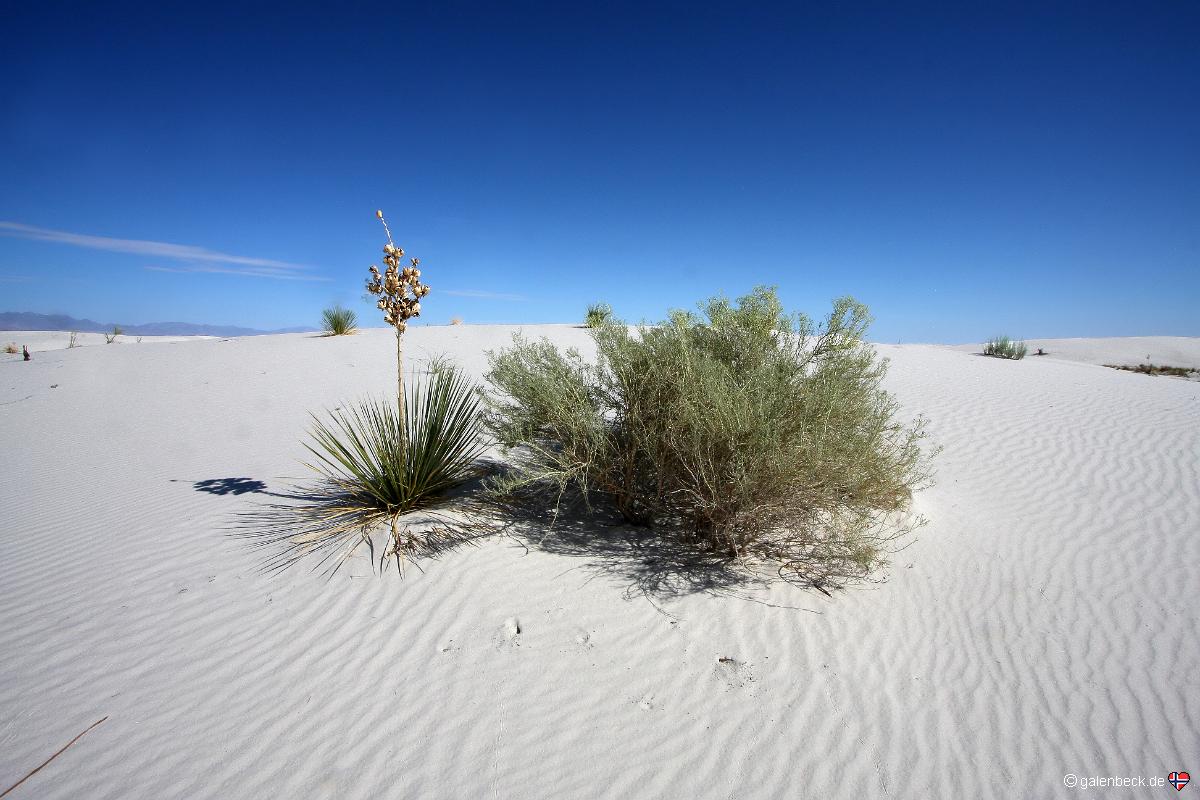 White Sands National Monument