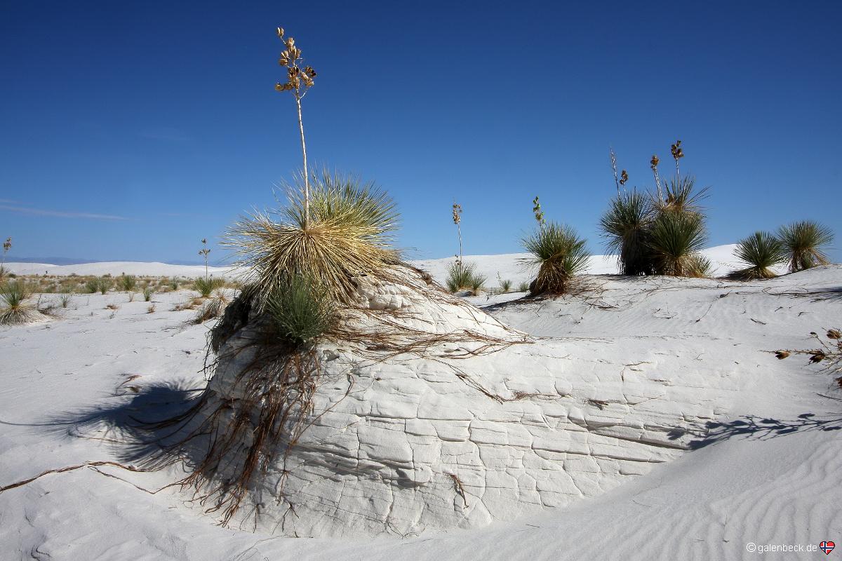 White Sands National Monument