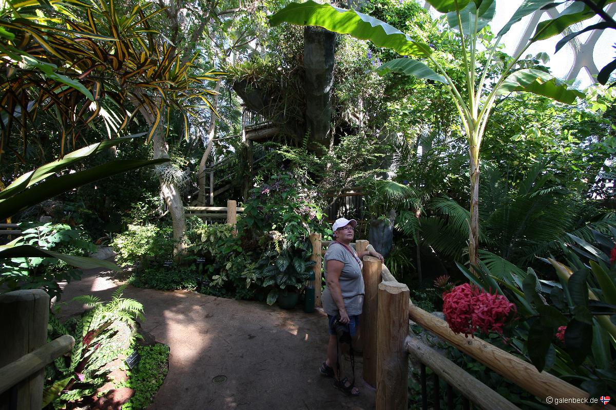 Denver Botanical Garden