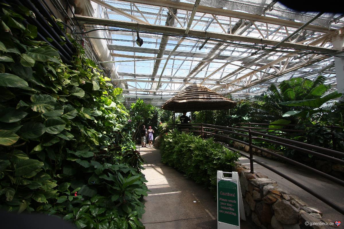 Butterfly Pavilion