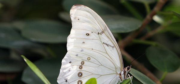 59